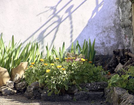 Foto de Jardinera de piedra en patio de casa de pueblo. Plantador detalle plan. - Imagen libre de derechos