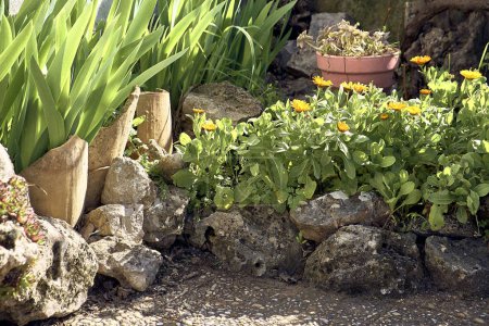 Jardinera de piedra en patio de casa de pueblo. Plantador detalle plan.