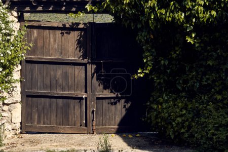 Foto de Ivy (Hedera), lirios (Iris) y celinda (Philadelphus coronarius) enmarcan una puerta de madera con un techo en el patio de una casa de pueblo. - Imagen libre de derechos