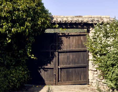 Ivy (Hedera), lirios (Iris) y celinda (Philadelphus coronarius) enmarcan una puerta de madera con un techo en el patio de una casa de pueblo.