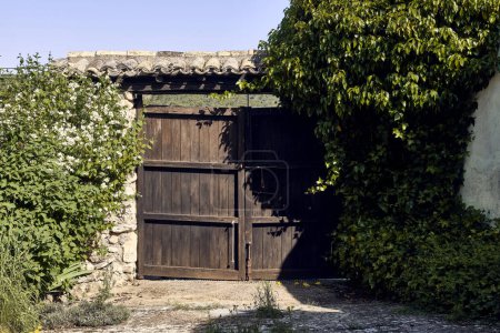 Foto de Ivy (Hedera), lirios (Iris) y celinda (Philadelphus coronarius) enmarcan una puerta de madera con un techo en el patio de una casa de pueblo. - Imagen libre de derechos