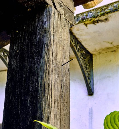 Image of wooden beam and mosses under cantilever.