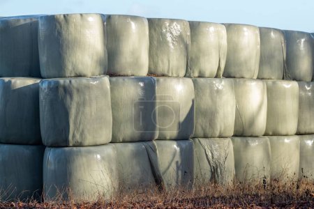 hay bales shrink-wrapped in foil