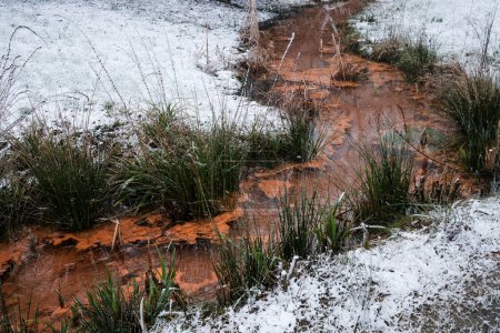 Téléchargez les photos : L'eau qui coule dans la forêt en hiver - en image libre de droit