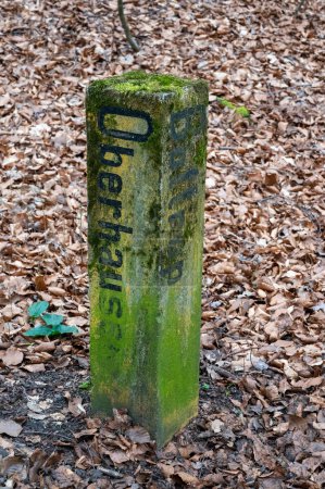 Moosiger Grenzstein im Wald mit der Aufschrift Bottrop Oberhausen