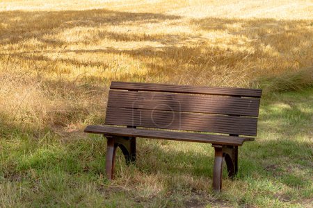 bench in front of dried meadow