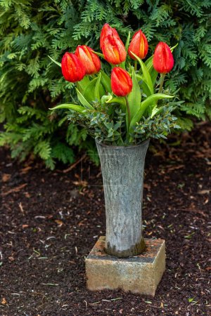 Un ramo de tulipanes rojos
