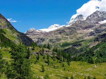Téléchargez les photos : Vue sur le paysage montagneux des Alpes suisses - en image libre de droit