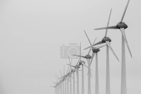 wind turbines in a row on the coast in the mist and fog