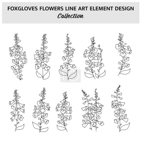 Minimalist Foxgloves Flower Hand Drawn Vector Illustration Set. Flowers Sketch Drawing on White Background.