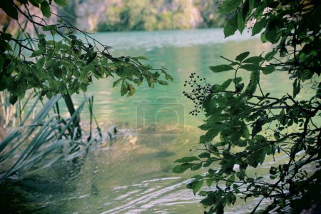 landscape in Plitvice lakes Croatia