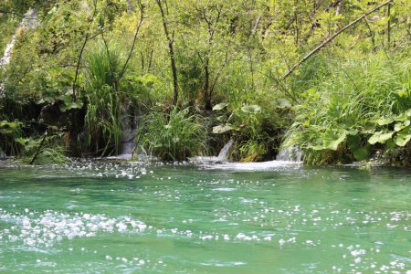 paisaje en los lagos de Plitvice Croacia