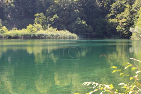 paysage dans les lacs de Plitvice Croatie