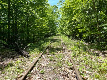 Verlassene Bahngleise im Wald