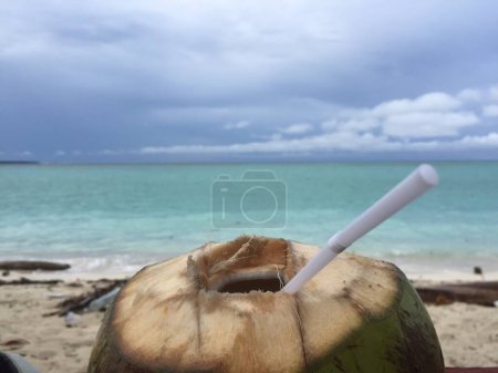 Drinking young coconut water on white sand beaches and the enchanting turquoise blue sea is fun on Derawan Island, Indonesia, but be careful when throwing away plastic straws.