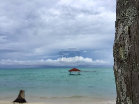 Weathered coconut tree trunks with a blurred background of an abandoned gazebo flooded by sea water due to abrasion, turquoise blue sea and cloudy sky.