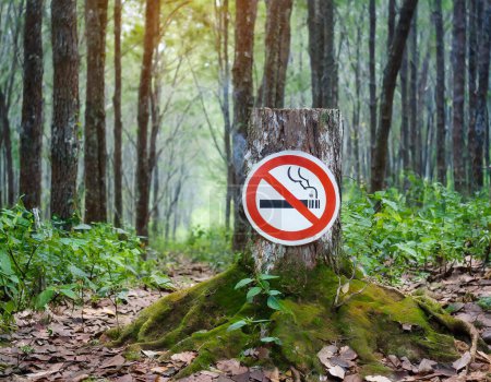 Photo for No smoking sign outdoor in a forest - Royalty Free Image