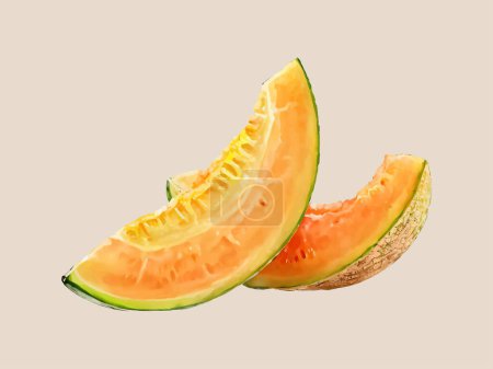 Téléchargez les illustrations : Aquarelle vecteur tranches de melon simples - en licence libre de droit