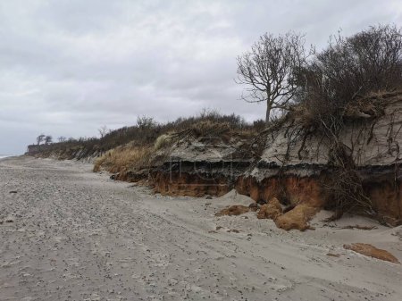 Erosión la costa alemana del Mar Báltico después de una fuerte oleada de tormenta