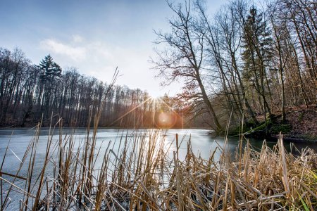 Lever de soleil avec roseaux et un lac au premier plan dans le nord de l'Allemagne (Parkentin)