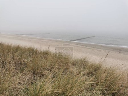 foggy beach at the Baltic Sea in the north of Germany (Heiligendamm)