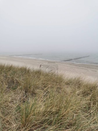 foggy beach at the Baltic Sea in the north of Germany (Heiligendamm)