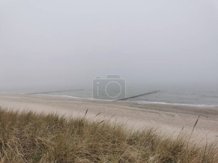 Téléchargez les photos : Plage brumeuse à la mer Baltique dans le nord de l'Allemagne (Heiligendamm) - en image libre de droit