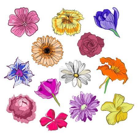 Téléchargez les illustrations : Jeu de têtes de fleurs illustration vectorielle - en licence libre de droit