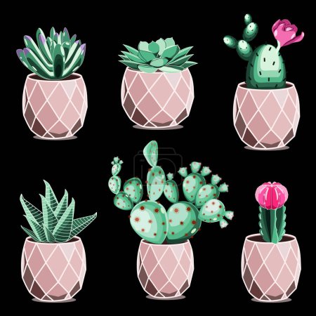 Photo for Cactuses and succulents in ceramic pots in flat technique vector illustration - Royalty Free Image