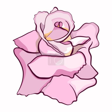 Ilustración de Rosa rosa es una flor cabeza vector ilustración - Imagen libre de derechos