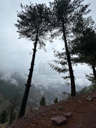 wunderschöne Landschaft mit nebligen Bergen im Hintergrund, Khyber Pakhtunkhwa, Pakistan