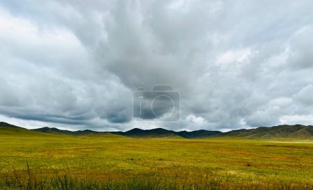 beau paysage avec un champ d'herbe, Tov, Mongolie