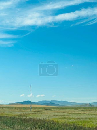 beautiful landscape with a large tree in the mountains, Tov, Mongolia