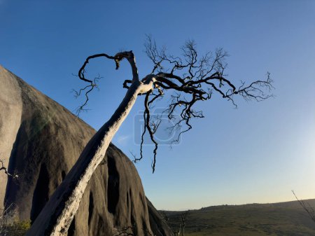 hermosa vista de la naturaleza, Paarl Mountain, Western Cape, Sudáfrica
