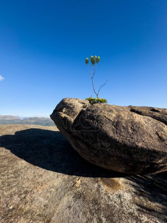 plsnt en el borde de la roca en las montañas, Paarl Mountain, Western Cape, Sudáfrica