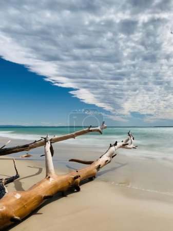 Schöner Strand mit Treibholz und einem großen Meer, North Stradbroke Island, Queensland, Australien