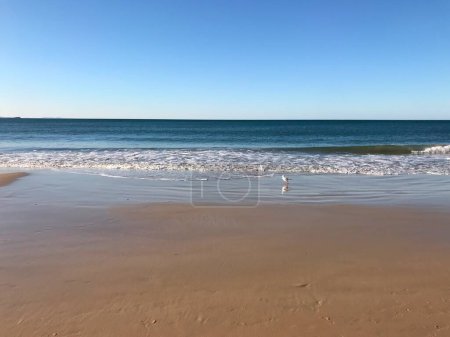 Téléchargez les photos : Belle vue sur la côte de la mer, Mooloolaba, Sunshine Coast, Queensland, Australie - en image libre de droit