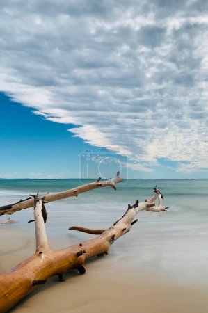 magnifique vue sur la nature, North Stradbroke Island, Queensland, Australie