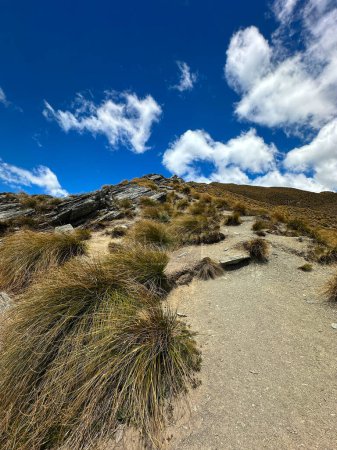 beau paysage avec un lac dans les montagnes, Roys Peak, Wanaka, Nouvelle-Zélande