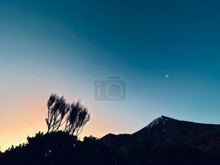 Téléchargez les photos : Magnifique coucher de soleil sur le mont Taranaki, parc national Egmont, Taranaki, Nouvelle-Zélande - en image libre de droit