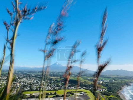hermoso paisaje con el Monte Taranaki en el fondo, Taranaki, Nueva Zelanda