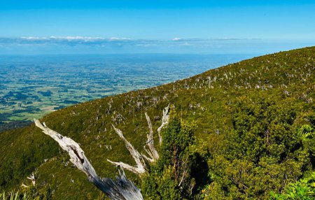 Téléchargez les photos : Vue depuis le mont Taranaki, parc national Egmont, Taranaki, Nouvelle-Zélande - en image libre de droit
