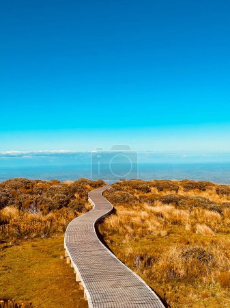 Foto de Un hermoso paisaje en Mt Taranaki, Egmont National Park, Taranaki, Nueva Zelanda - Imagen libre de derechos