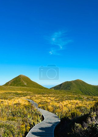 Foto de Un hermoso paisaje en Mt Taranaki, Egmont National Park, Taranaki, Nueva Zelanda - Imagen libre de derechos