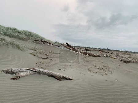 Sanddüne und Strand, Waikanae, Neuseeland