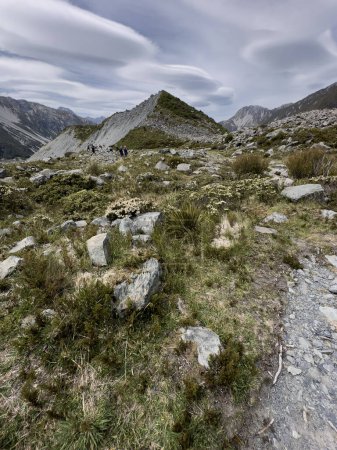 une vue sur le paysage, Parc national du Mont Cook, Île du Sud, Nouvelle-Zélande