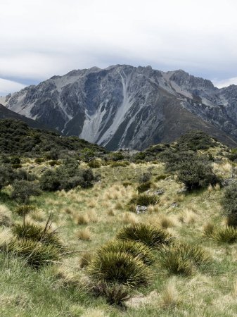 hermoso paisaje de las montañas, Parque Nacional Mt Cook, Isla Sur, Nueva Zelanda