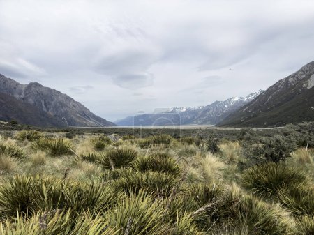 beau paysage dans les montagnes, Mt Cook National Park, Île du Sud, Nouvelle-Zélande