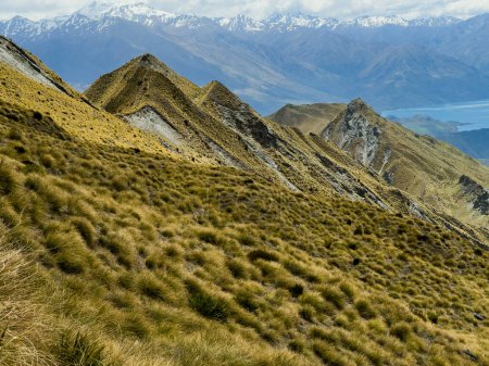 Photo for The view from Roy's Peak Track, Wanaka, New Zealand - Royalty Free Image