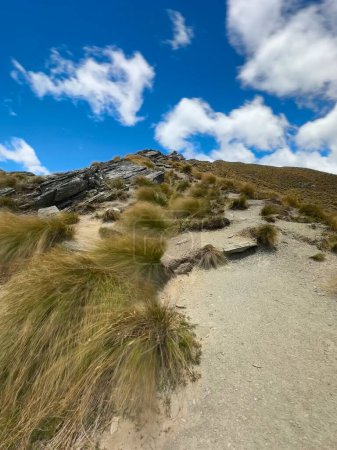 Photo for Beautiful landscape of the mountains, Roy's Peak Track, Wanaka, New Zealand - Royalty Free Image